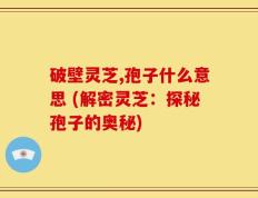 破壁灵芝,孢子什么意思 (解密灵芝：探秘孢子的奥秘)