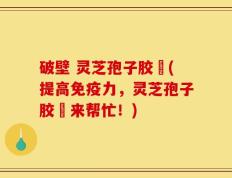 破壁 灵芝孢子胶堯(提高免疫力，灵芝孢子胶堯来帮忙！)