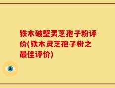 铁木破壁灵芝孢子粉评价(铁木灵芝孢子粉之最佳评价)