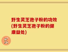 野生灵芝孢子粉的功效(野生灵芝孢子粉的健康益处)