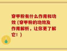 穿甲粉有什么作用和功效 (穿甲粉的功效及作用解析，让你更了解它！)
