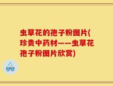 虫草花的孢子粉图片(珍贵中药材——虫草花孢子粉图片欣赏)