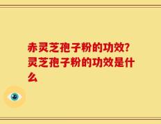 赤灵芝孢子粉的功效？灵芝孢子粉的功效是什么