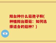 阳台种什么菇孢子粉(种植阳台蘑菇：如何选择适合的菇种？)
