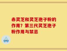 赤灵芝和灵芝孢子粉的作用？第三代灵芝孢子粉作用与禁忌