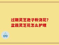 过期灵芝孢子粉浇花？盆栽灵芝花怎么护理