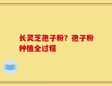 长灵芝孢子粉？孢子粉种植全过程