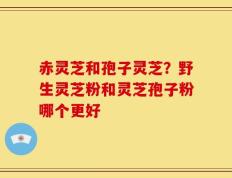 赤灵芝和孢子灵芝？野生灵芝粉和灵芝孢子粉哪个更好