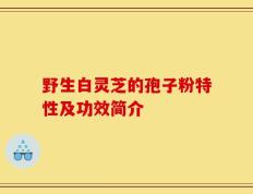 野生白灵芝的孢子粉特性及功效简介
