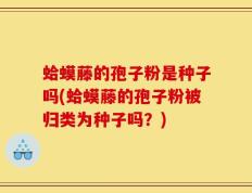 蛤蟆藤的孢子粉是种子吗(蛤蟆藤的孢子粉被归类为种子吗？)