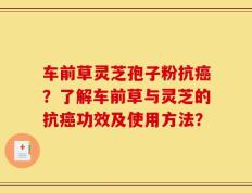 车前草灵芝孢子粉抗癌？了解车前草与灵芝的抗癌功效及使用方法？