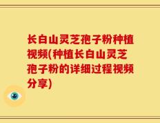 长白山灵芝孢子粉种植视频(种植长白山灵芝孢子粉的详细过程视频分享)