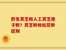 野生灵芝和人工灵芝孢子粉？灵芝粉和松花粉区别