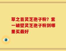 草之首灵芝孢子粉？紫一破壁灵芝孢子粉到哪里买最好