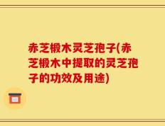 赤芝椴木灵芝孢子(赤芝椴木中提取的灵芝孢子的功效及用途)