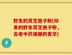 野生的灵芝孢子粉(珍贵的野生灵芝孢子粉，古老中药保健的菁华)