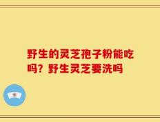 野生的灵芝孢子粉能吃吗？野生灵芝要洗吗
