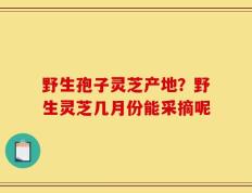野生孢子灵芝产地？野生灵芝几月份能采摘呢