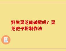 野生灵芝能破壁吗？灵芝孢子粉制作法
