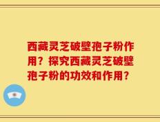 西藏灵芝破壁孢子粉作用？探究西藏灵芝破壁孢子粉的功效和作用？