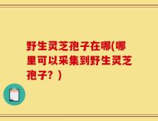 野生灵芝孢子在哪(哪里可以采集到野生灵芝孢子？)