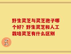 野生灵芝与灵芝孢子哪个好？野生灵芝和人工栽培灵芝有什么区别
