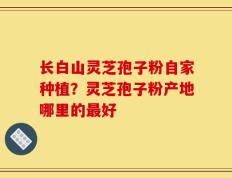 长白山灵芝孢子粉自家种植？灵芝孢子粉产地哪里的最好