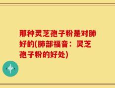那种灵芝孢子粉是对肺好的(肺部福音：灵芝孢子粉的好处)