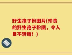 野生孢子粉图片(珍贵的野生孢子粉图，令人目不转睛！)