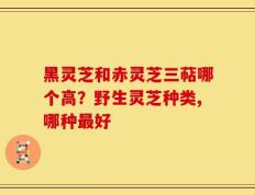 黑灵芝和赤灵芝三萜哪个高？野生灵芝种类,哪种最好