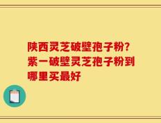 陕西灵芝破壁孢子粉？紫一破壁灵芝孢子粉到哪里买最好