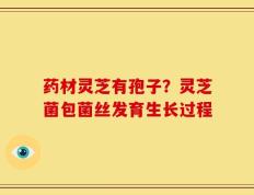 药材灵芝有孢子？灵芝菌包菌丝发育生长过程
