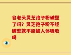 谷老头灵芝孢子粉破壁了吗？灵芝孢子粉不经破壁就不能被人体吸收吗