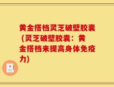黄金搭档灵芝破壁胶囊 (灵芝破壁胶囊：黄金搭档来提高身体免疫力)