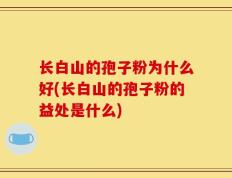 长白山的孢子粉为什么好(长白山的孢子粉的益处是什么)