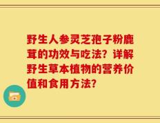 野生人参灵芝孢子粉鹿茸的功效与吃法？详解野生草本植物的营养价值和食用方法？