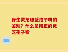 野生灵芝破壁孢子粉的鉴别？什么是纯正的灵芝孢子粉