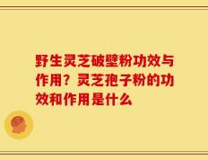 野生灵芝破壁粉功效与作用？灵芝孢子粉的功效和作用是什么