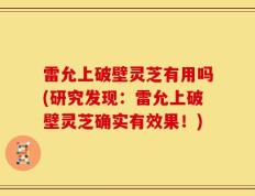 雷允上破壁灵芝有用吗(研究发现：雷允上破壁灵芝确实有效果！)