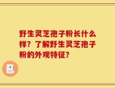 野生灵芝孢子粉长什么样？了解野生灵芝孢子粉的外观特征？