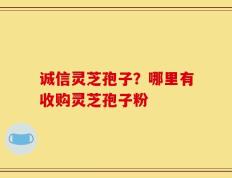 诚信灵芝孢子？哪里有收购灵芝孢子粉