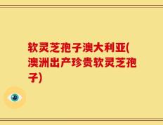 软灵芝孢子澳大利亚(澳洲出产珍贵软灵芝孢子)