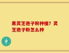 黑灵芝孢子粉种植？灵芝孢子粉怎么种