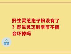 野生灵芝孢子粉没有了？野生灵芝到季节不摘会坏掉吗