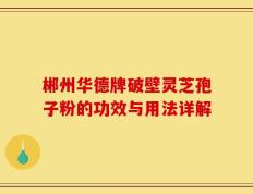 郴州华德牌破壁灵芝孢子粉的功效与用法详解