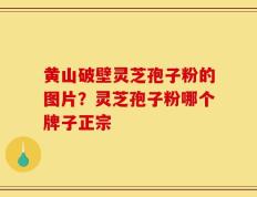 黄山破壁灵芝孢子粉的图片？灵芝孢子粉哪个牌子正宗