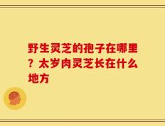 野生灵芝的孢子在哪里？太岁肉灵芝长在什么地方