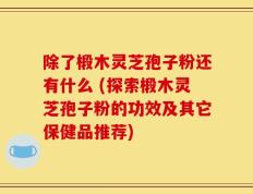 除了椴木灵芝孢子粉还有什么 (探索椴木灵芝孢子粉的功效及其它保健品推荐)
