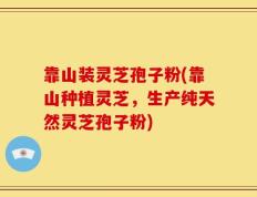 靠山装灵芝孢子粉(靠山种植灵芝，生产纯天然灵芝孢子粉)