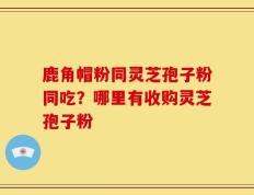 鹿角帽粉同灵芝孢子粉同吃？哪里有收购灵芝孢子粉